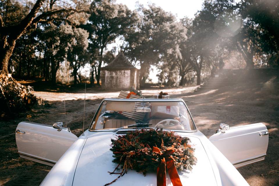 Natal photoshoot - Decor