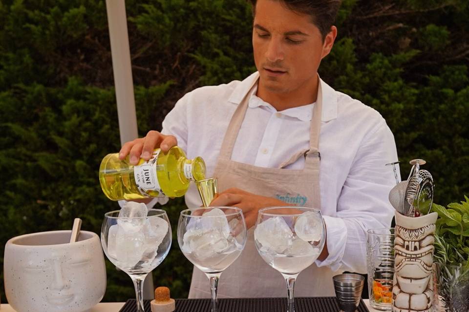 Gins Premium