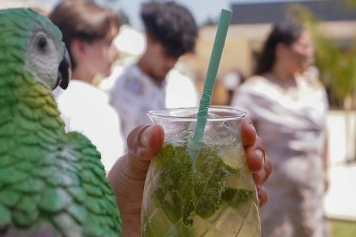 Tiki no controlo de qualidade