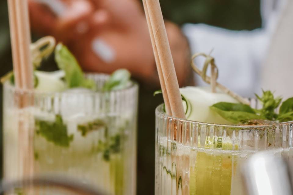 Gin Fizz Pepino