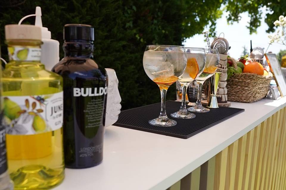 Gins Premium