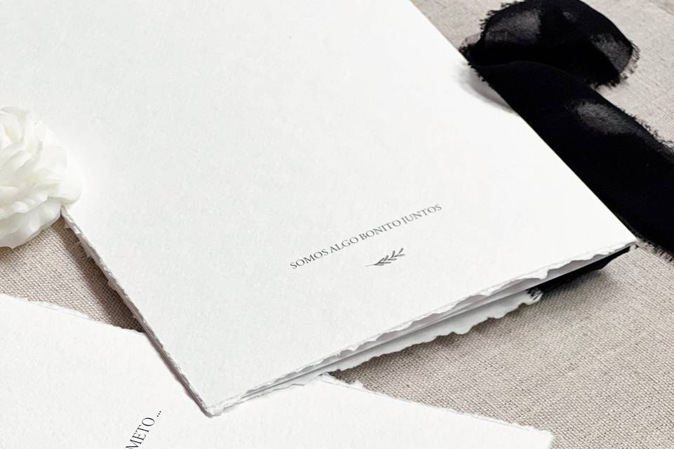 Livro de votos