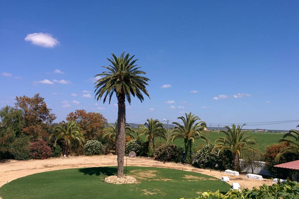 Jardim da palmeira