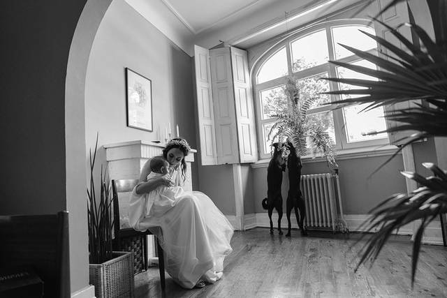 Luzia Studio
