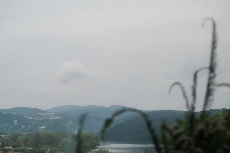 Vista