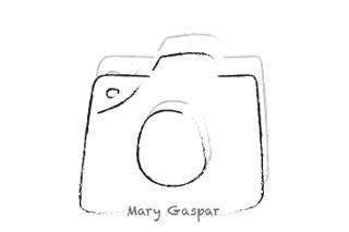 Mary Gaspar logo