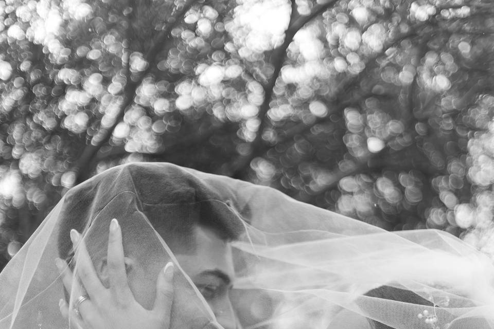 De véu b&w