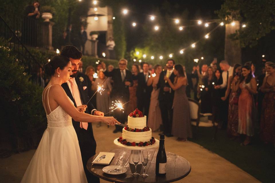 Ana Almeida Weddings Creator