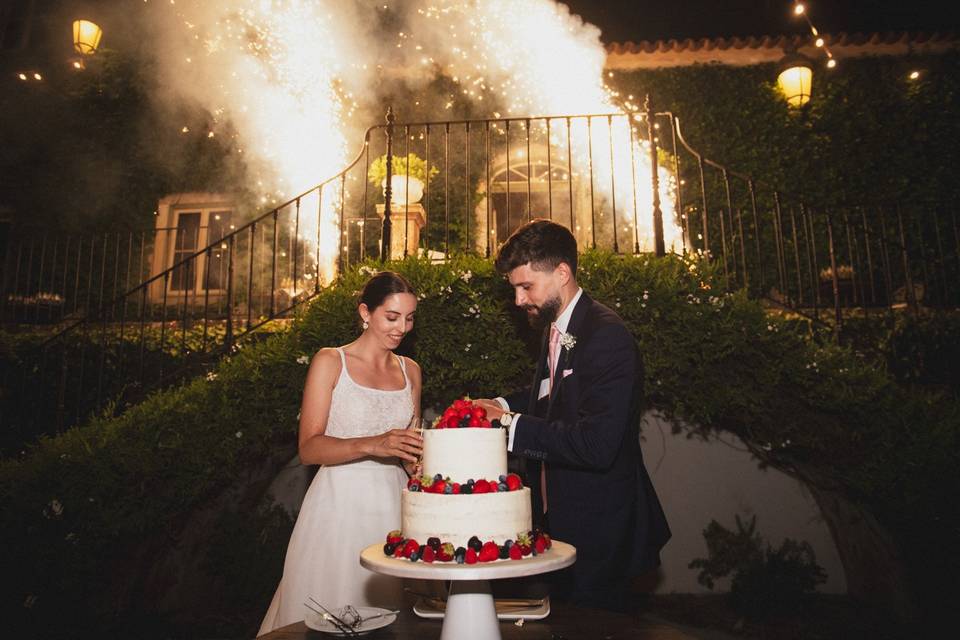 Ana Almeida Weddings Creator