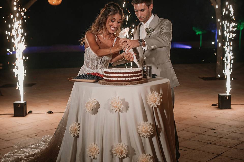 Ana Almeida Weddings Creator