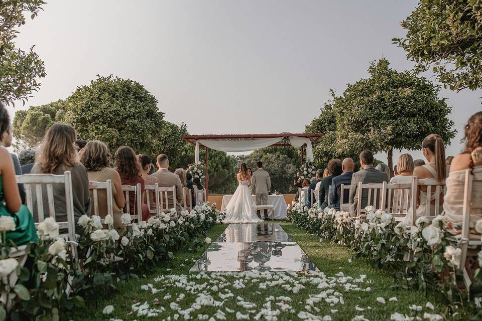 Ana Almeida Weddings Creator