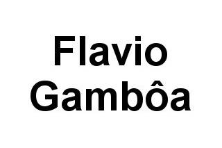Flavio gambôa logo