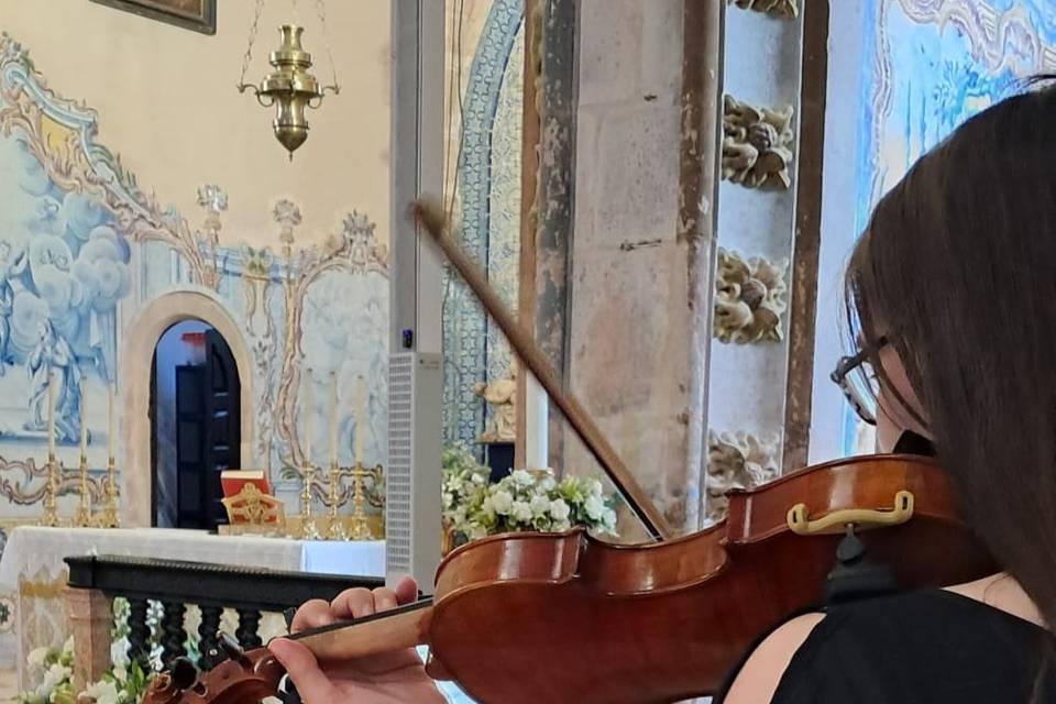 Violino