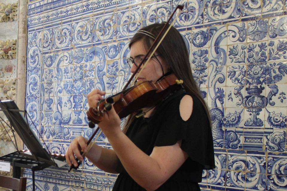Violino