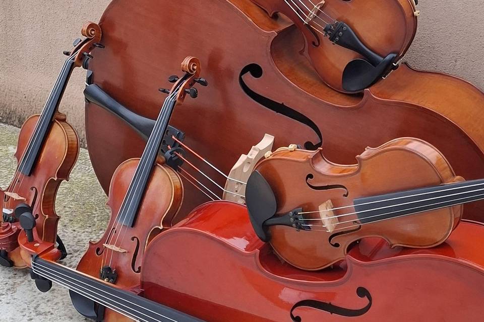 Instrumentos dos músicos