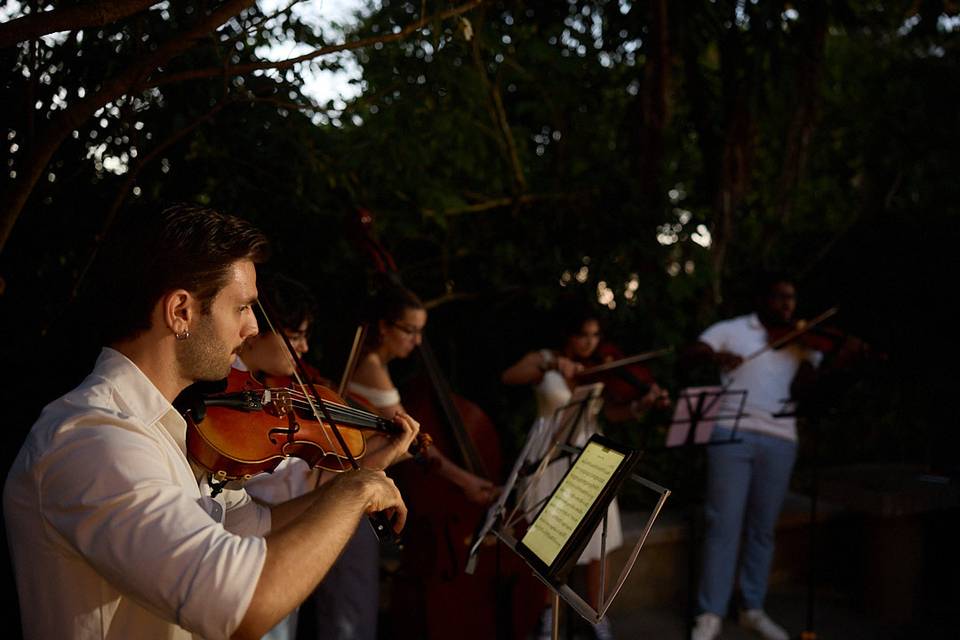 Serviço personalizado