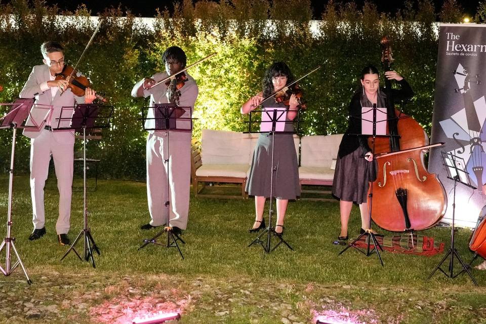 Casamento