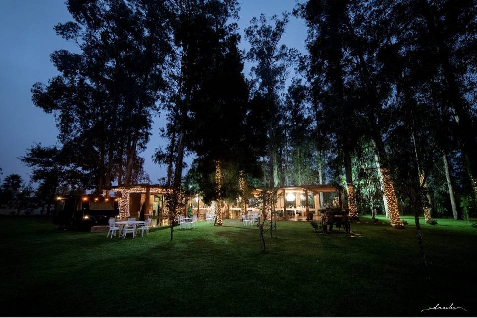 Bosque Eventos