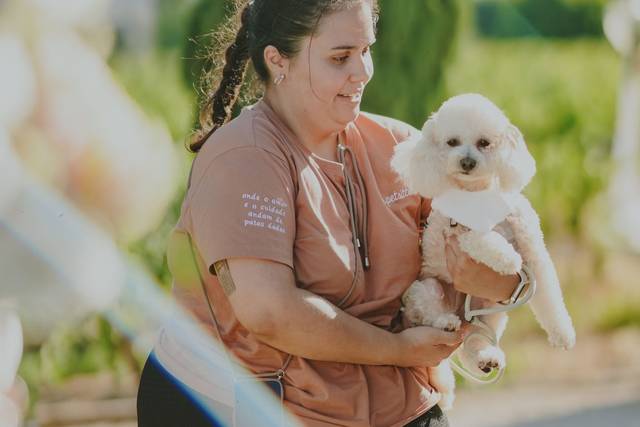 Dear Petsitter
