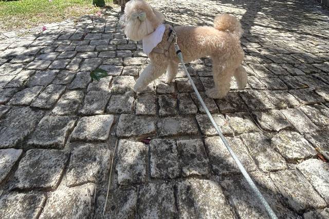 Fotografia