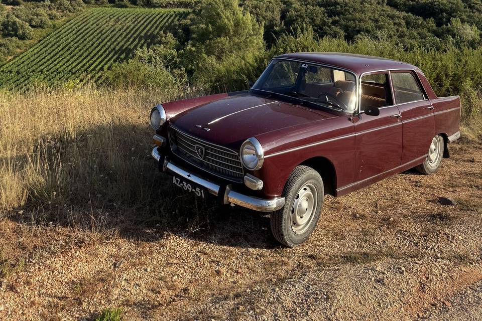 Elegante