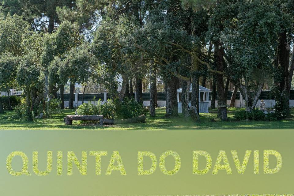 Quinta do David II