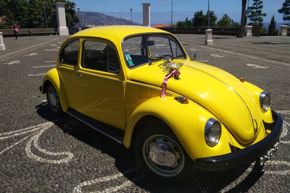 Casamento Renault Meg. Cabrio