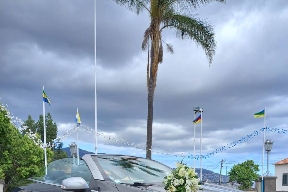 Casamento Renault Meg. Cabrio