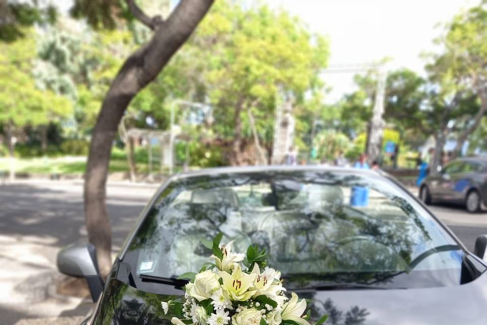 Casamento Renault Meg. Cabrio