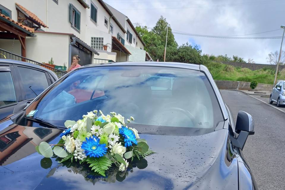 Casamento Renault Meg. Cabrio