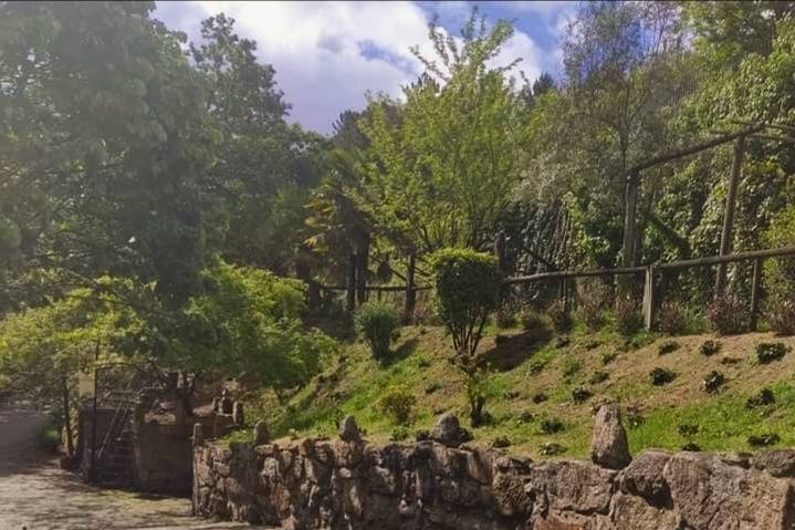 Jardins e acesso a parque