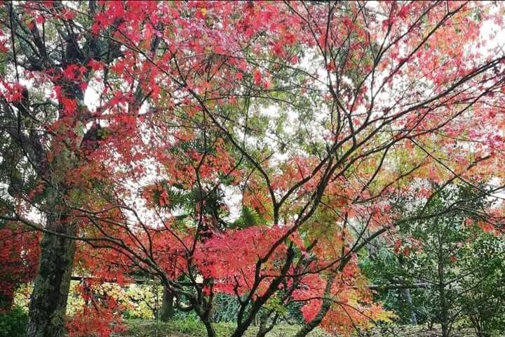 Jardins de inverno