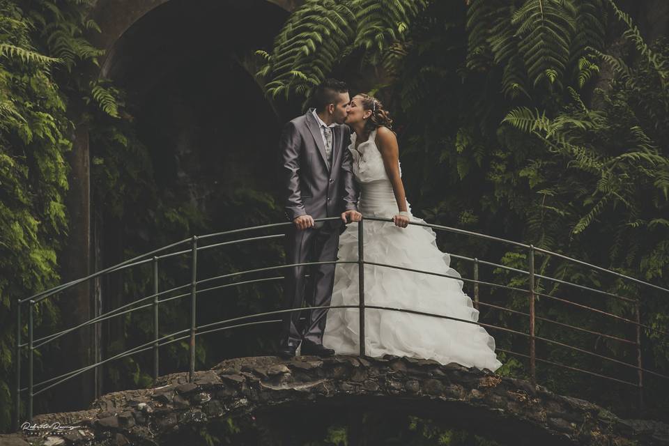 C&M Trash The Dress