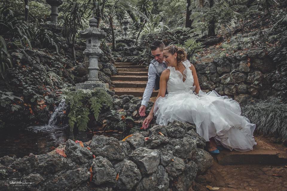 C&M Trash The Dress