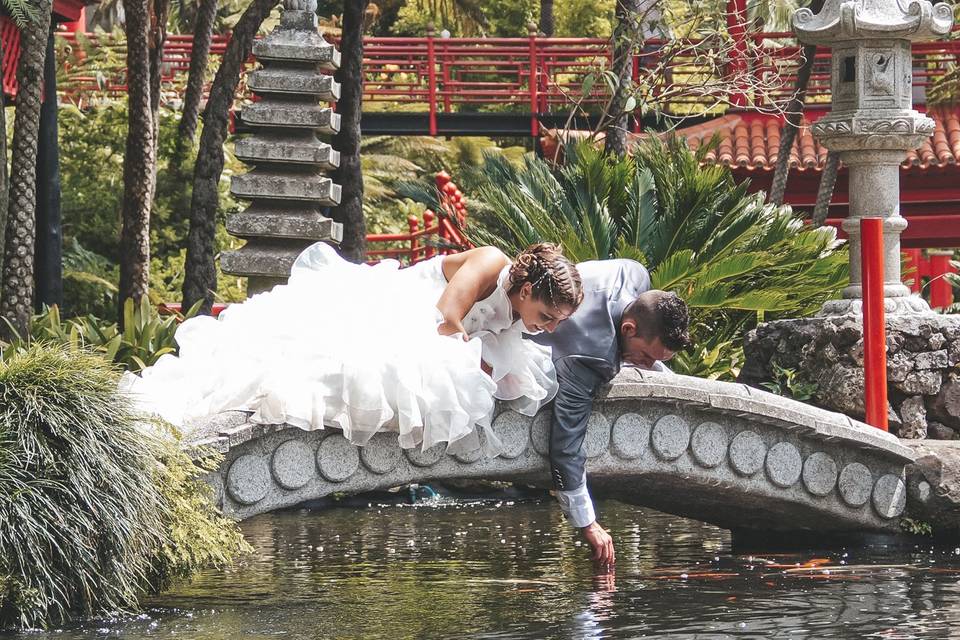 C&M Trash The Dress