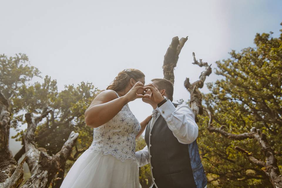 A&V Trash the Dress