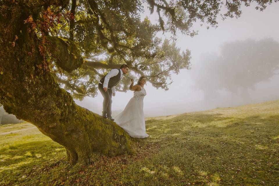 A&V Trash the Dress