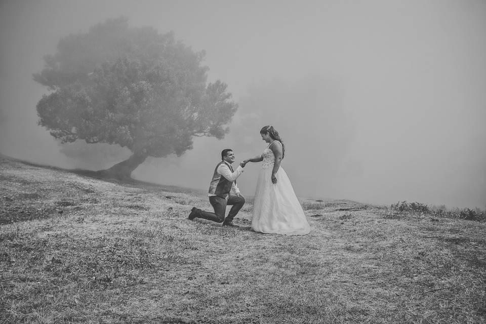 A&V Trash the Dress