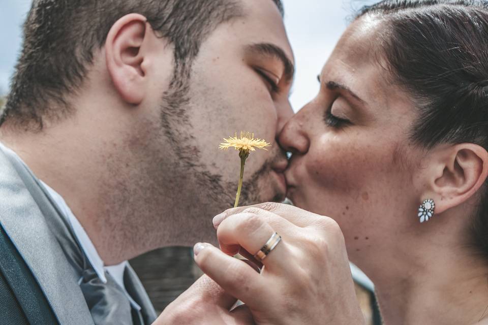 N&L Trash The Dress