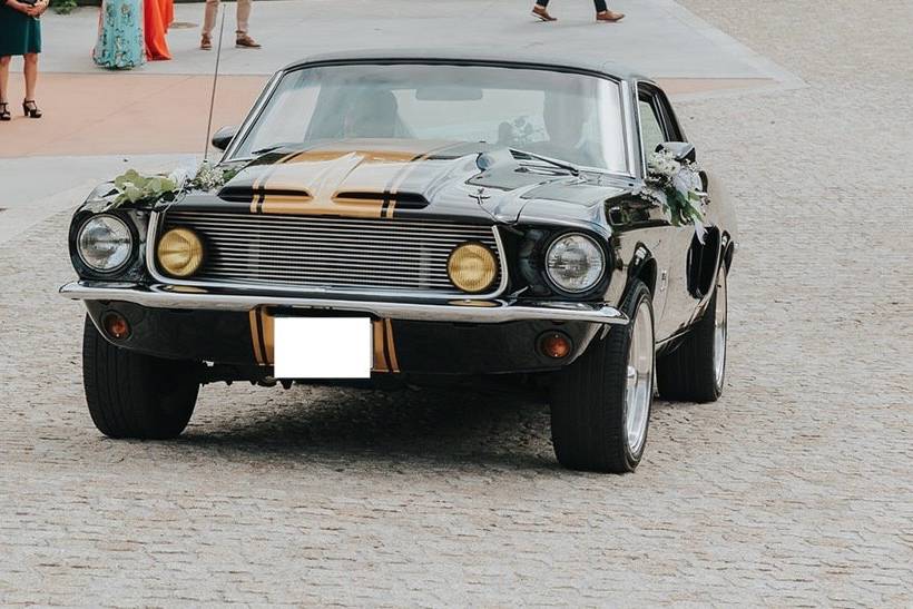 Serviço personalizado