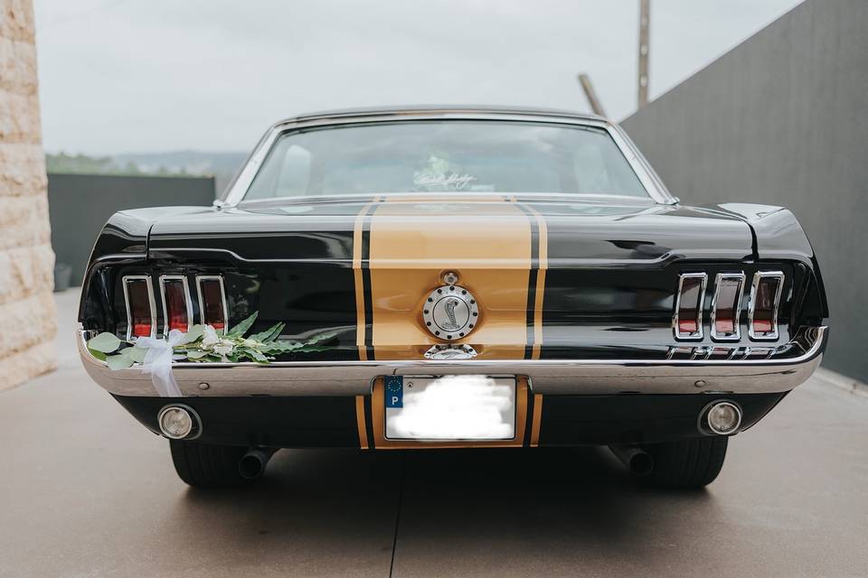 Motorista vestido a rigor