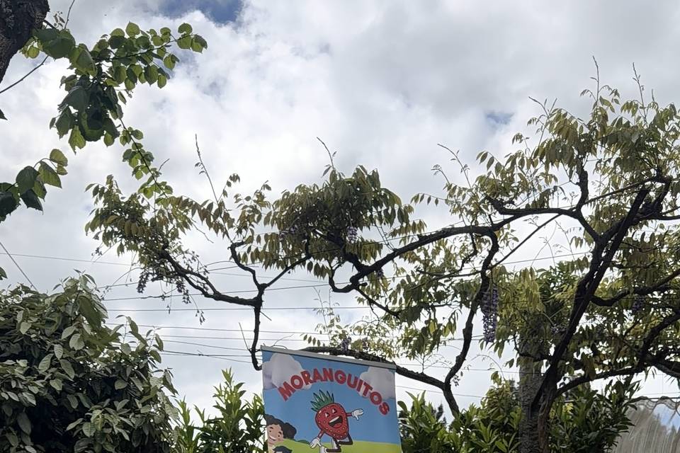 Cantinho da animação