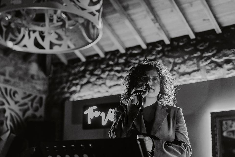 The Vibrators Band (live)