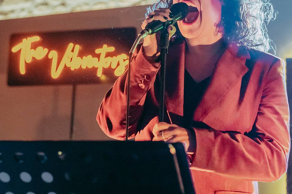 The Vibrators Band (live)