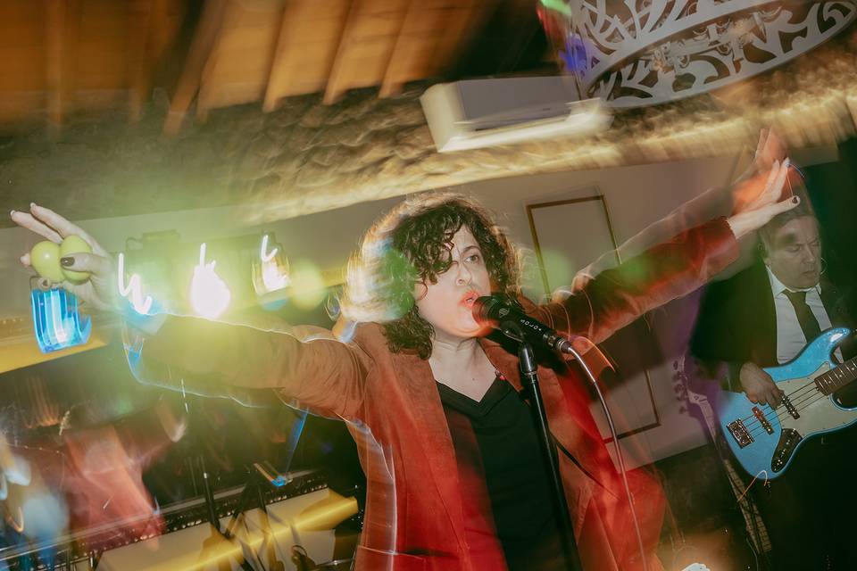 The Vibrators Band (live)