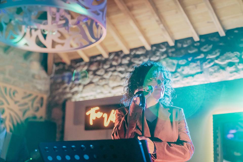 The Vibrators Band (live)