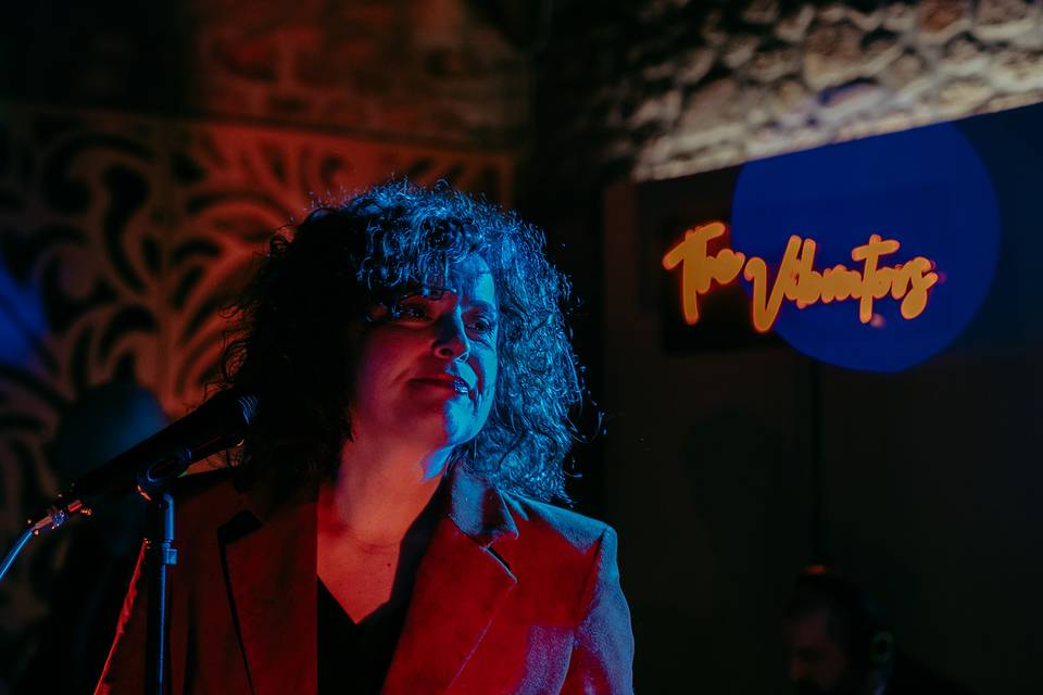 The Vibrators Band (live)