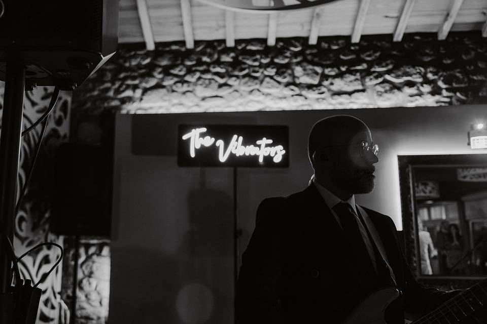 The Vibrators Band (live)