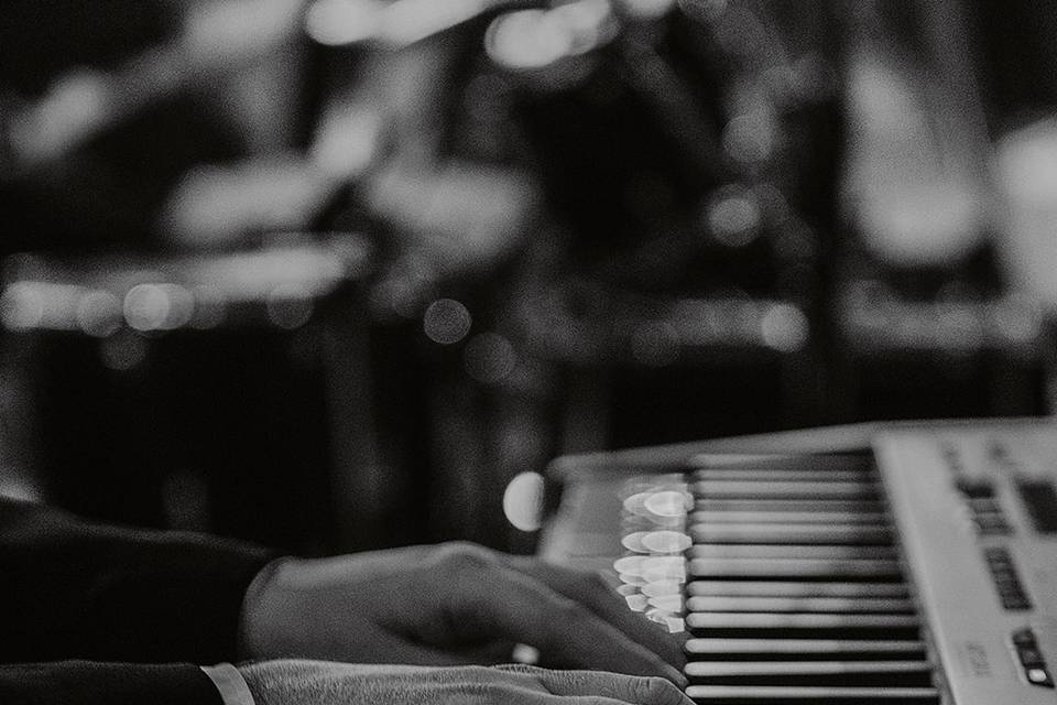 The Vibrators Band (live)