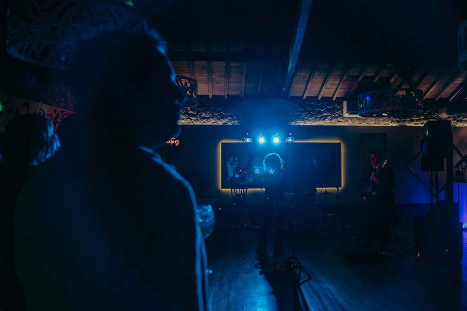 The Vibrators Band (live)